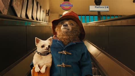  Paddington : Un ours parlant à Londres et les aventures amusantes de la famille Brown!